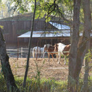 DSC_0347.JPG