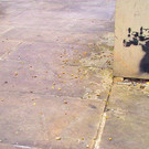 800px-Banksy_-_Rat_Photographer.jpg
