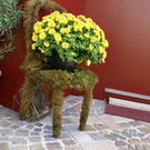 Hard Beneder G DSC01854.JPG