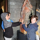 IMG_8454_JPG-1539413305.jpg