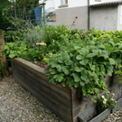 Hard Gruber G DSC01861.JPG