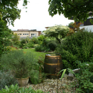 Hard Gruber G DSC01863.JPG