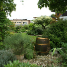 Hard Gruber G DSC01864.JPG