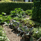 Hard Labenbacher G   DSC01837.JPG