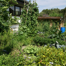 Hard Labenbacher G DSC01838.JPG