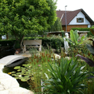 Hard Wild G DSC01817.JPG