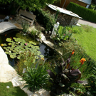 Hard Wild G DSC01818.JPG