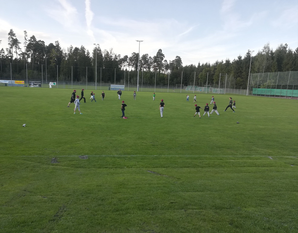 IMG_20181014_202154.jpg
