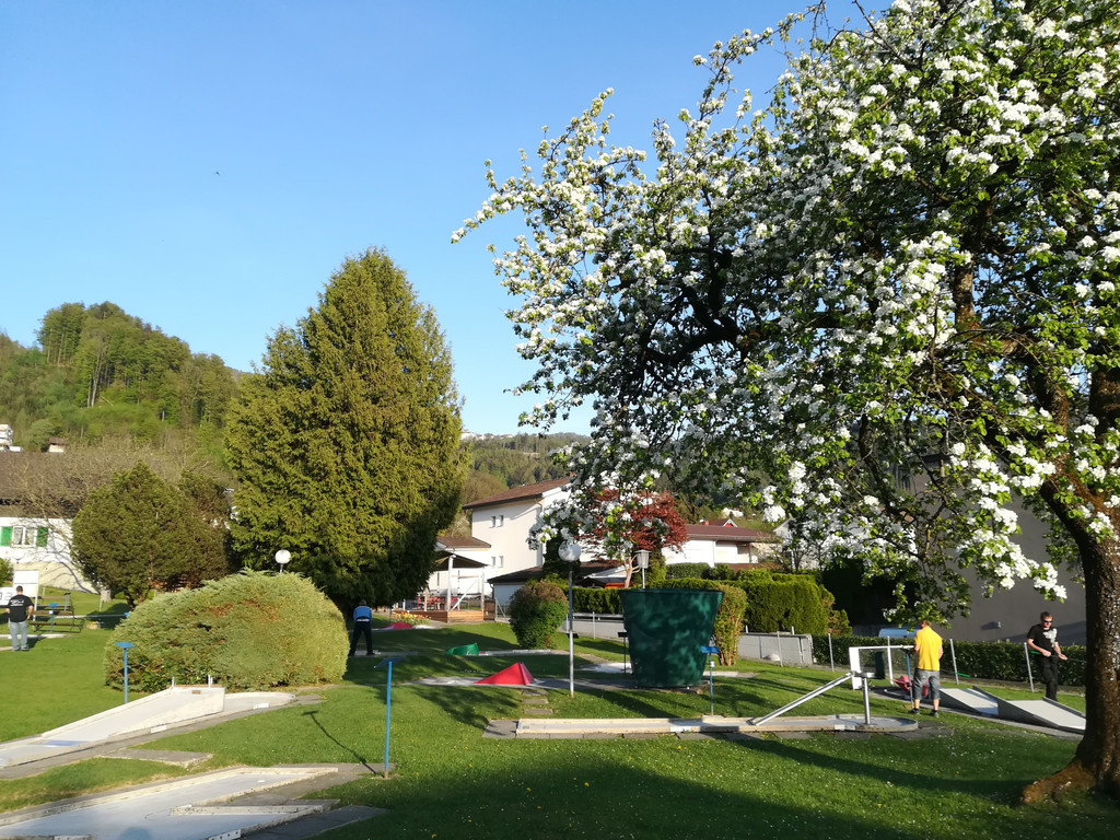 IMG_20180421_185850.jpg
