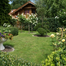 Hard Wild G DSC01825.JPG