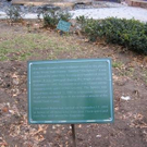1313046.jpg