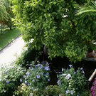 Hard Wild G DSC01828.JPG