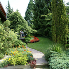 Hard Wolff G DSC01839.JPG