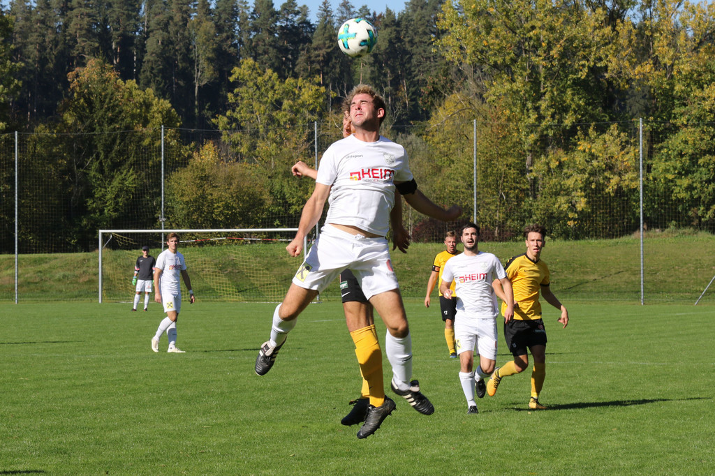 2018-10-14_0120_bearbeitet-1.jpg