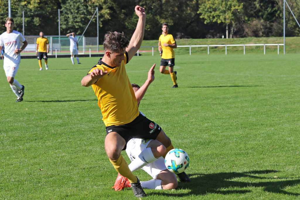 2018-10-14_0324_bearbeitet-1.jpg