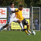 2018-10-14_0638_bearbeitet-1.jpg