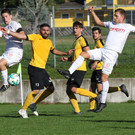 2018-10-14_0755_bearbeitet-1.jpg