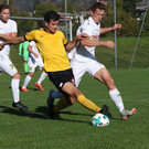 2018-10-14_0802_bearbeitet-1.jpg