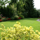 Hard Wolff G DSC01843.JPG