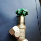 Bilder des Diebesgut