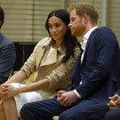 Australia_Royals_Photo_Gallery_19216.jpg