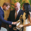 Australia_Royals_Photo_Gallery_23638.jpg