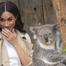 Australia_Royals_Photo_Gallery_73284.jpg