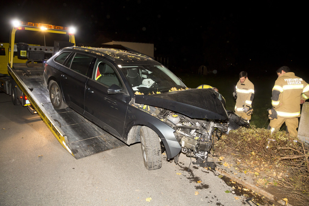 VU LudeschPKW-Baum44.JPG