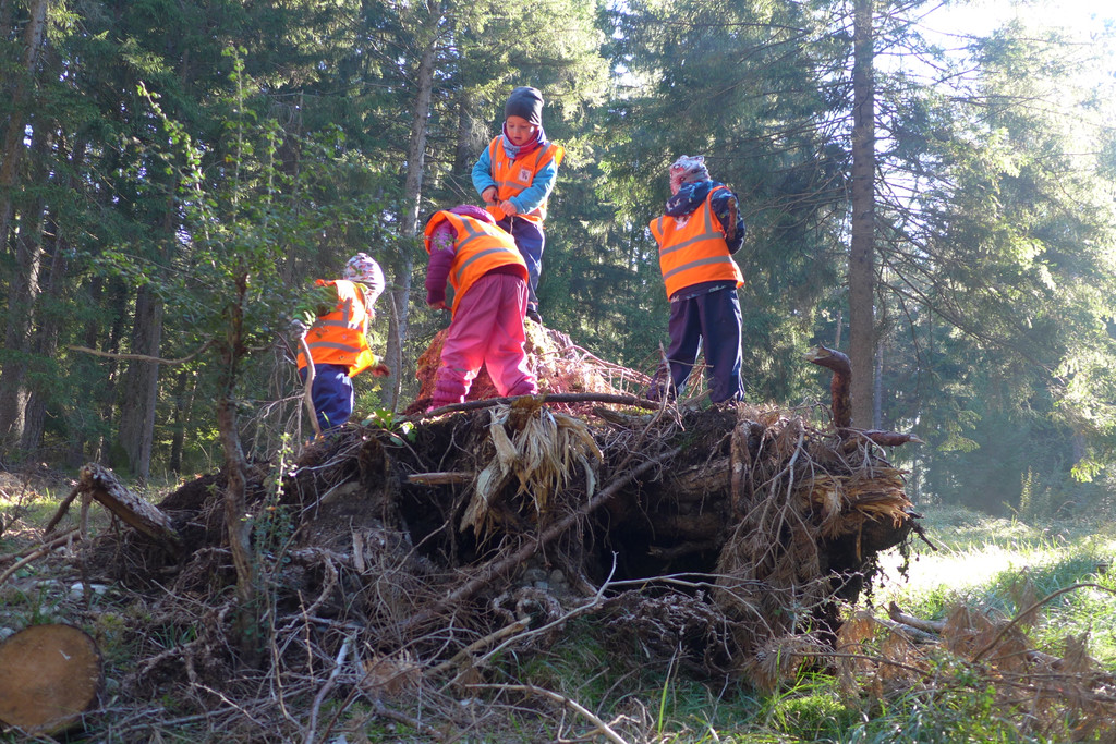 P1130435.JPG