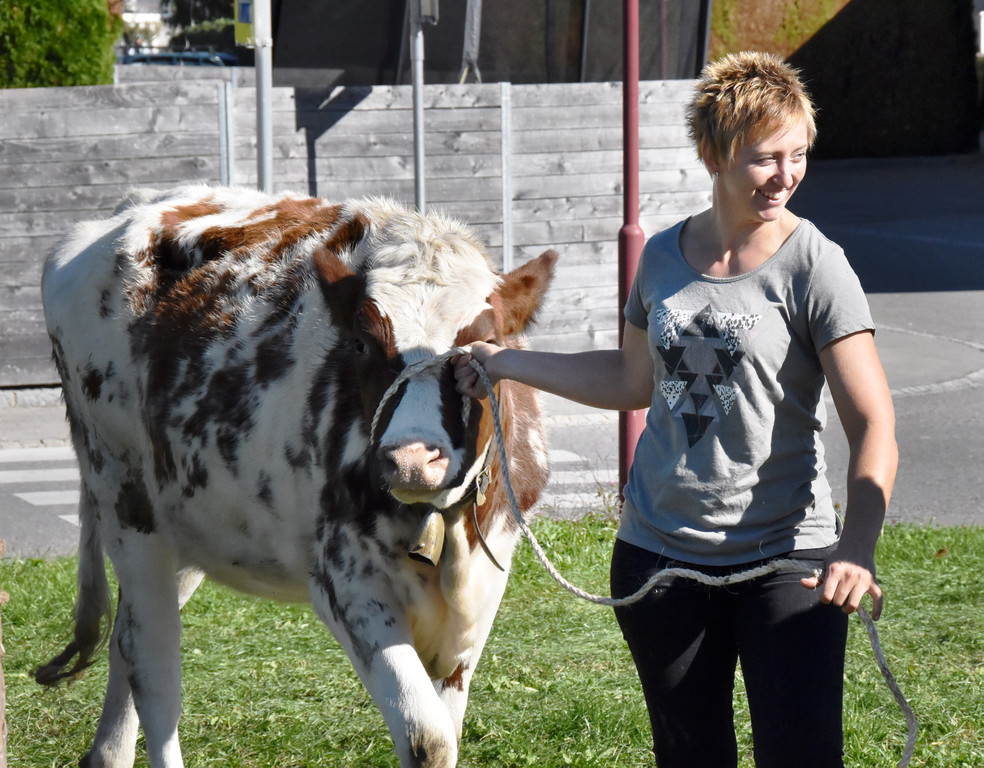 Viehfest Ho__chst Sonja Fink 2018 45.jpg