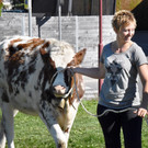 Viehfest Ho__chst Sonja Fink 2018 45.jpg