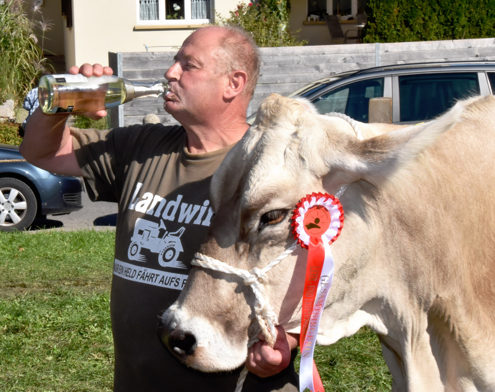 Viehfest Ho__chst 2018 75.jpg