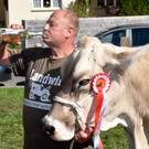 Viehfest Ho__chst 2018 75.jpg