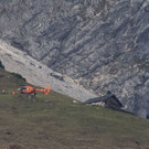 _41A3207.jpg