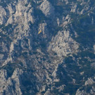 EV6A0950.jpg
