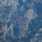 EV6A0976.jpg