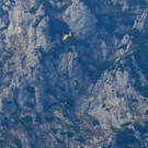 EV6A0979.jpg