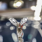 013_Pre-opening_Classic_Expo_PR_181018.jpg