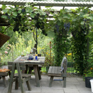 H__chst Senekowitsch G DSC01867.JPG