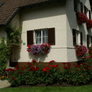 H__chst Wohlleib G DSC01868.JPG