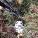 Alkolenker stürzt mit Pkw 50 Meter ab