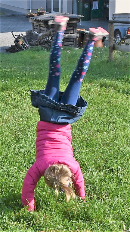 6.JPG