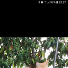 Screenshot_20181014-232722_Facebook.jpg