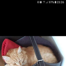 Screenshot_20181014-232655_Facebook.jpg