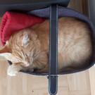 20180819_103628.jpg