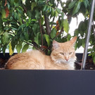 20180615_184525.jpg