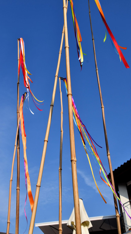 DSC_0600.JPG