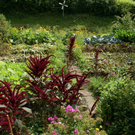 Hohenweiler Willi G DSC01811.JPG