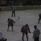 1318542.jpg