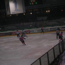 1318547.jpg